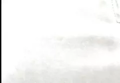 Haarige mit kleinen sexfielme Haengetitten